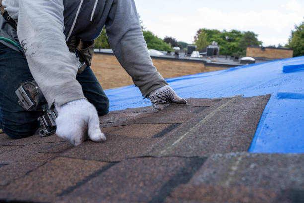Best Local Roofing Companies  in Houston, MO