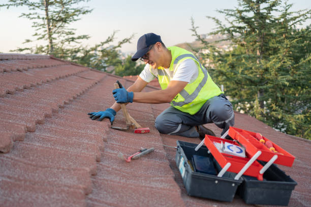 Best Roof Replacement Cost  in Houston, MO